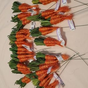 23 Carrot Picks